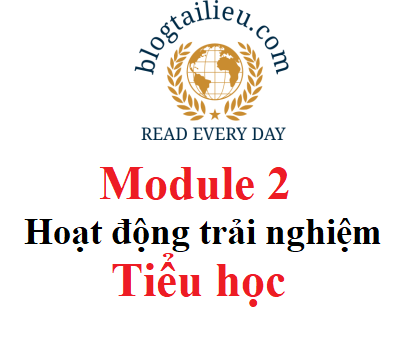 Modul 2 HDTN HN tiểu học